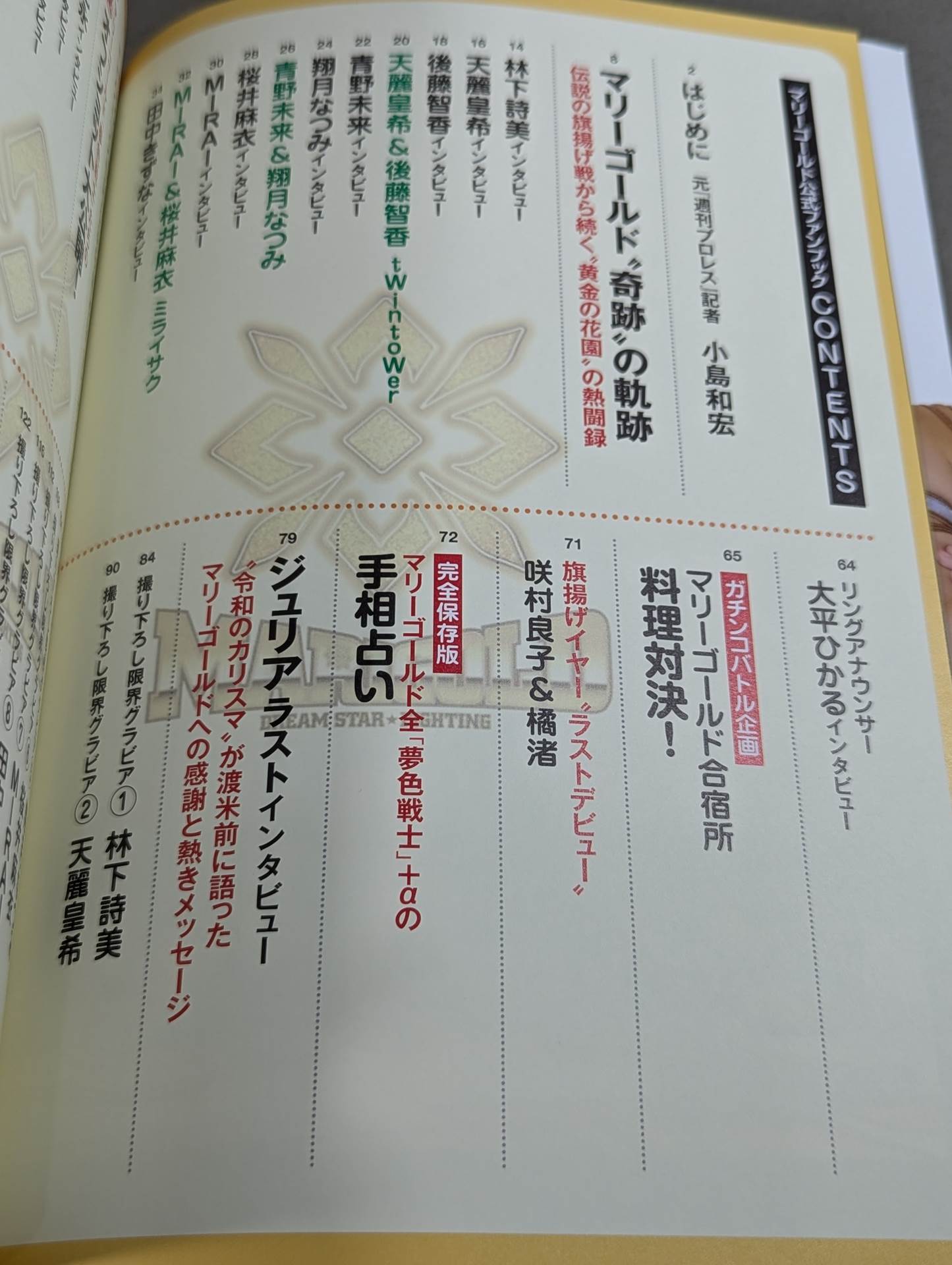 Marigold Official Fanbook
