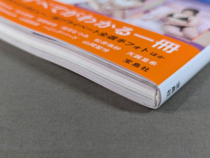 Marigold Official Fanbook