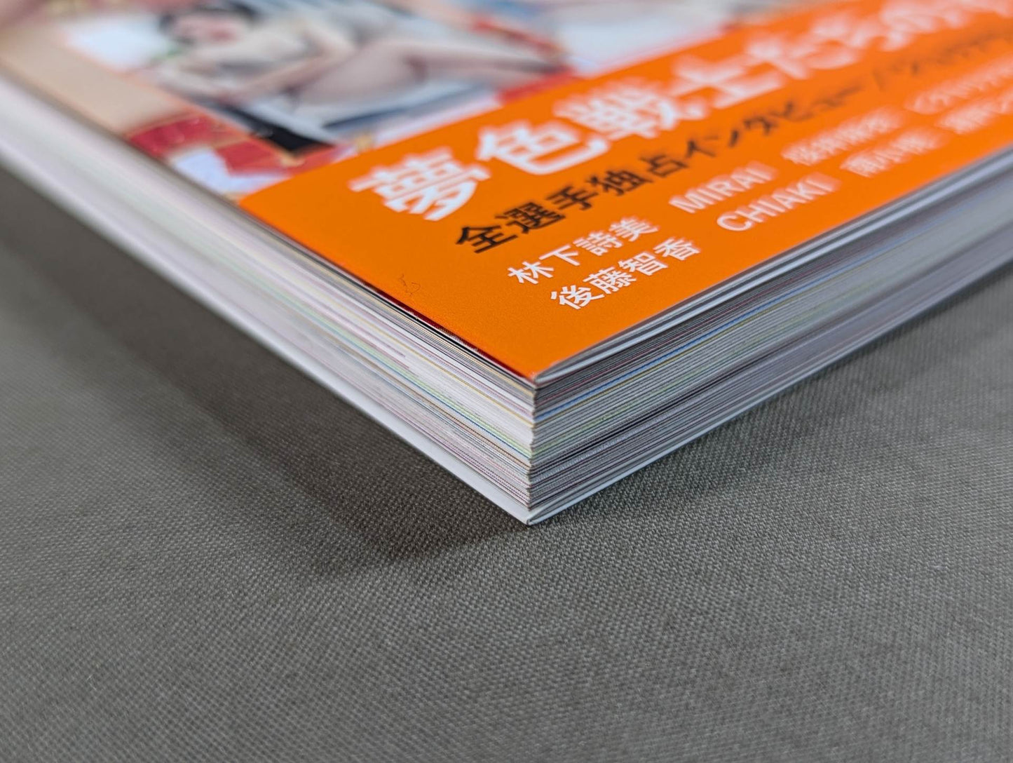 Marigold Official Fanbook