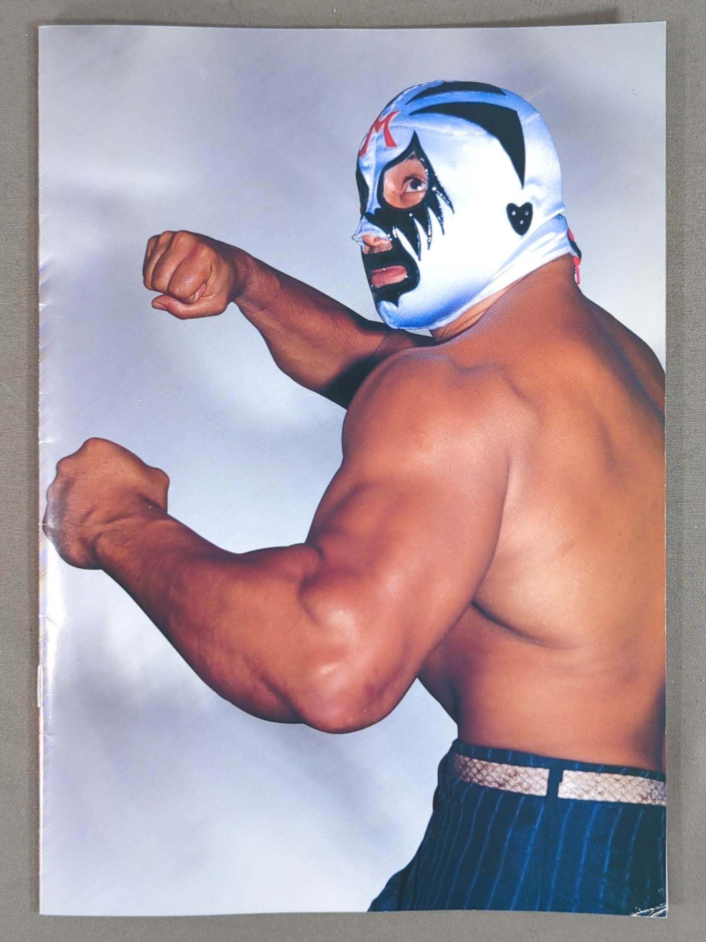 Mil Mascaras  The Splendid World Perpetual Preservation Edition Special Issue ( not sold in stores )