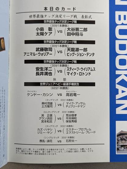 2002 Real World Tag League  / 2002 REAL WORLD TAG-TEAM LEAGUE
