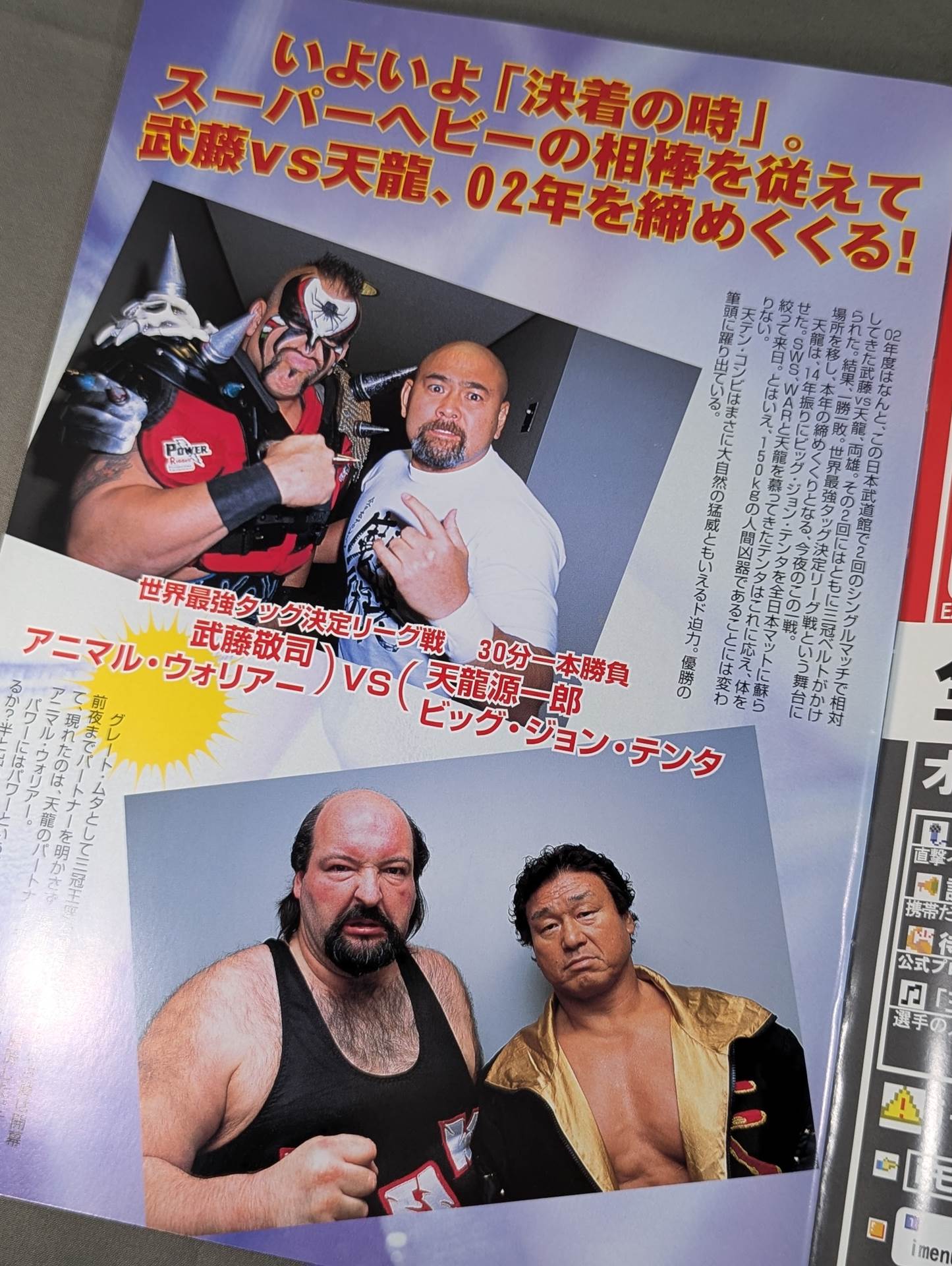 2002 Real World Tag League  / 2002 REAL WORLD TAG-TEAM LEAGUE
