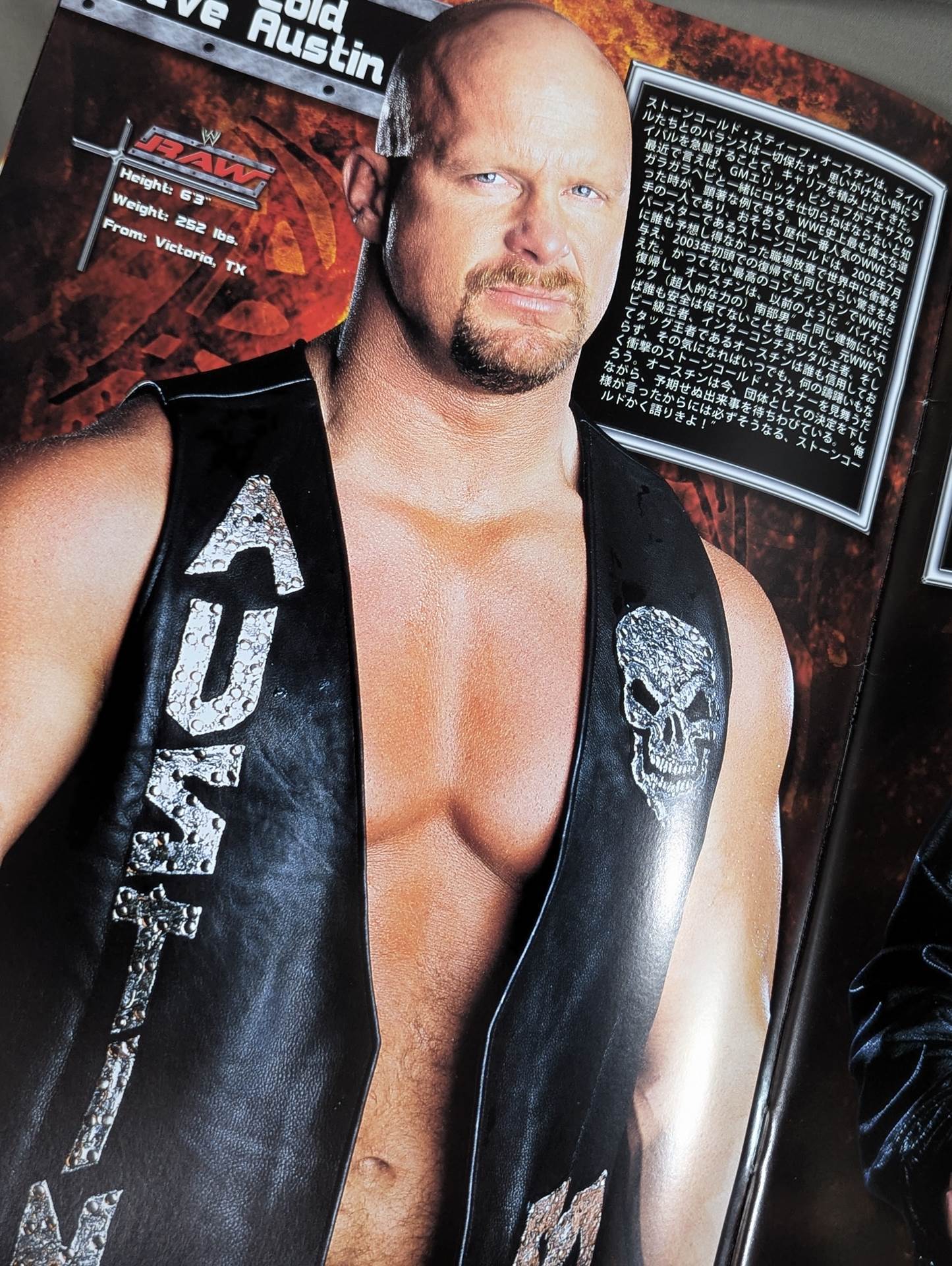 RAW ROAD TO WRESTLEMANIA XX TOUR