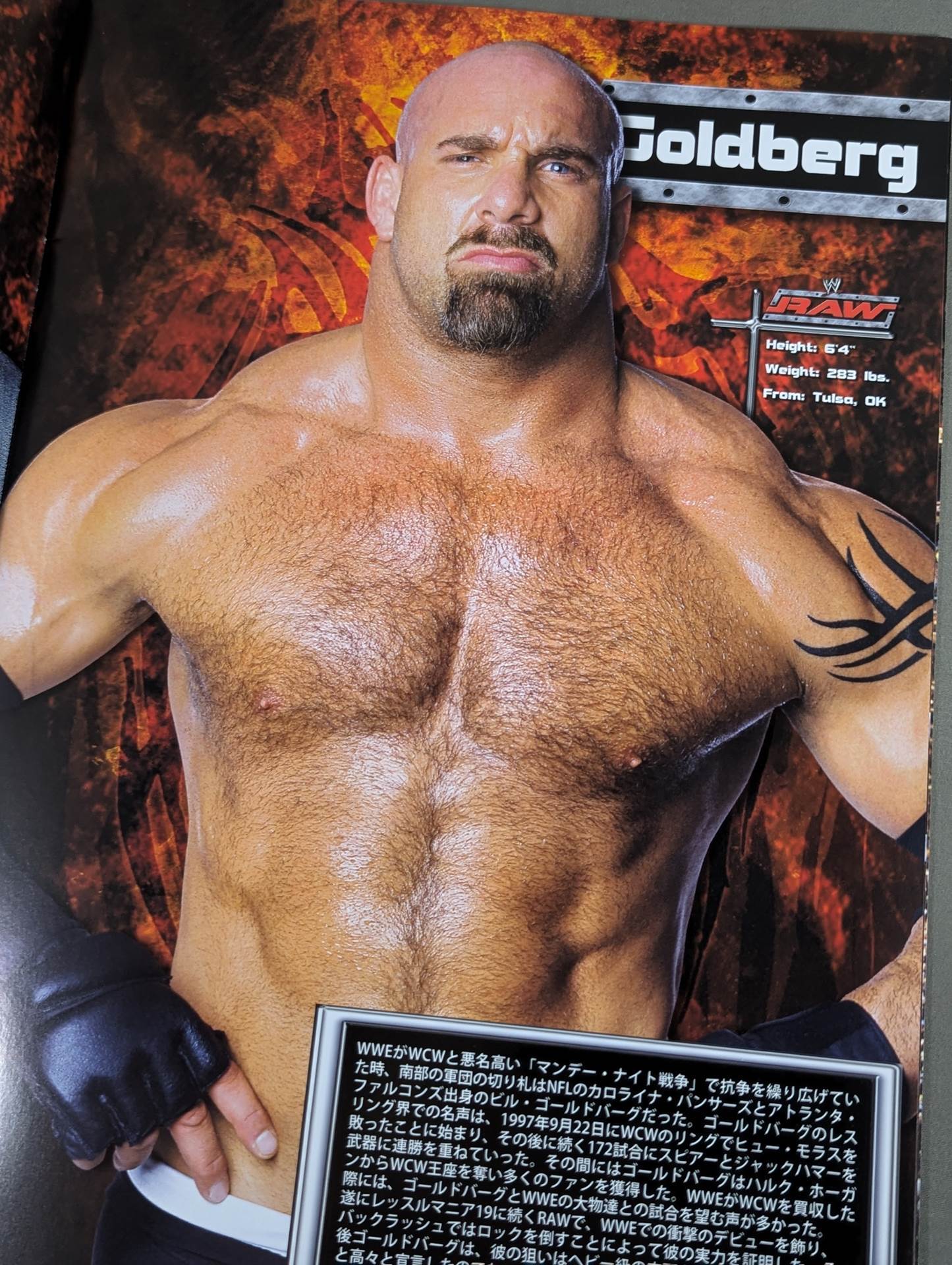 RAW ROAD TO WRESTLEMANIA XX TOUR