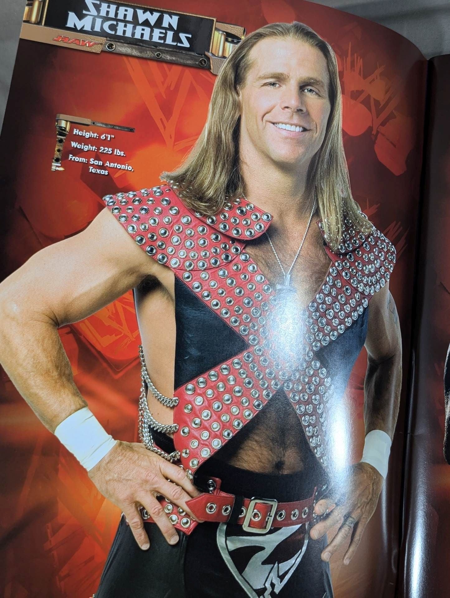 WWE OFFICIAL SOUVENIR PROGRAM 2004
