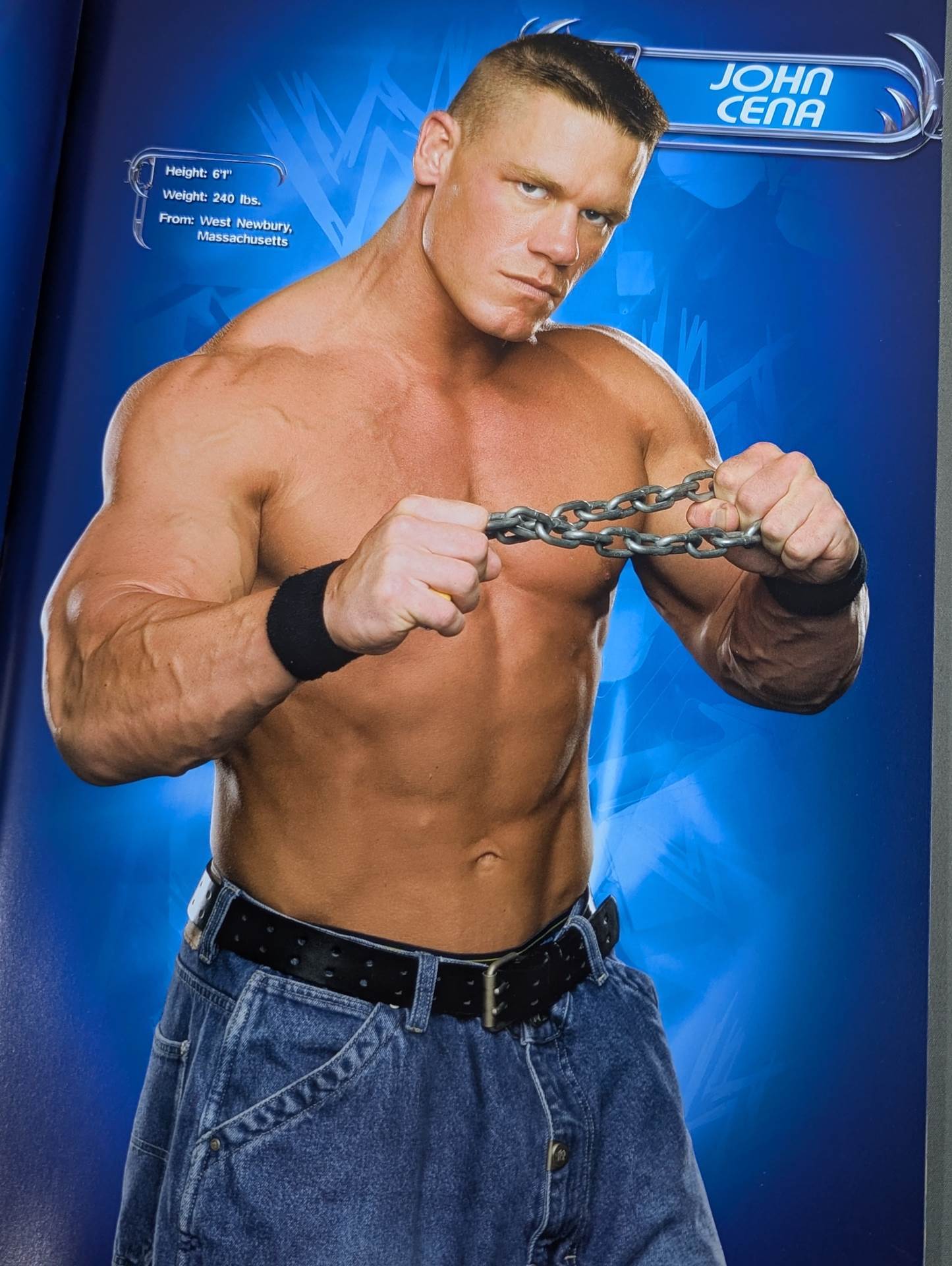 WWE OFFICIAL SOUVENIR PROGRAM 2004