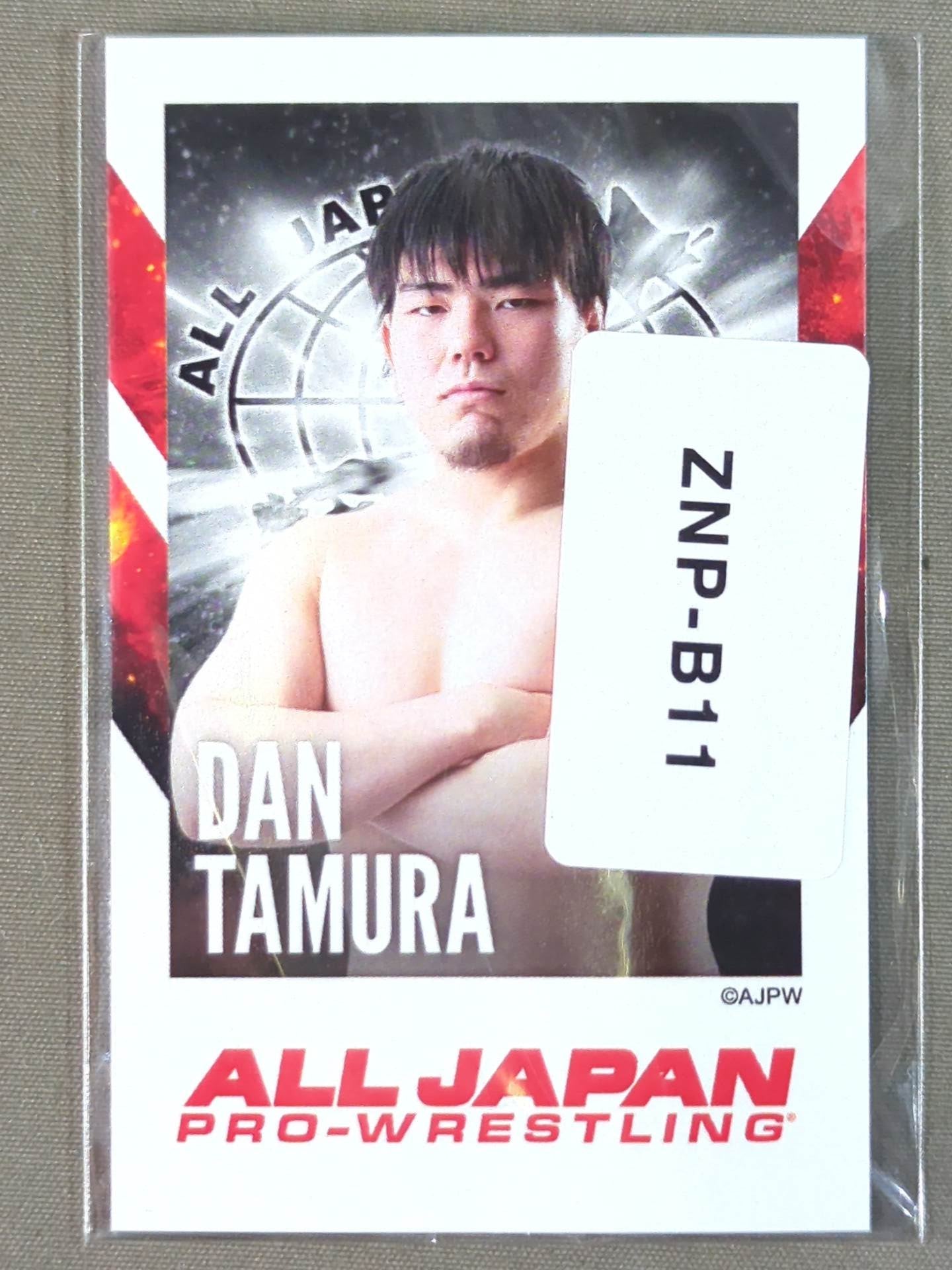Dan Tamura  Japan Pro Wrestling × Webpon Cheki-style card