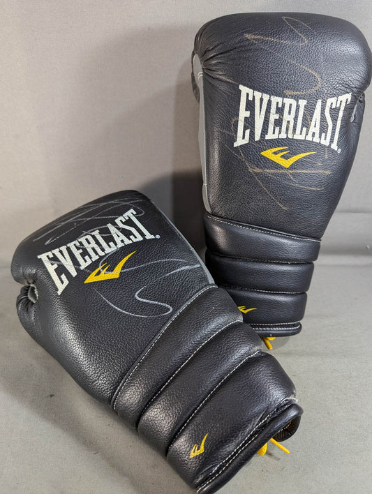 【Peter Aerts  hand signed autograph 】EVERLAST Boxing Gloves