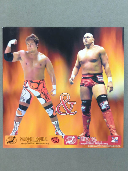 All Japan Pro Wrestling  Official Original Postcard Set
