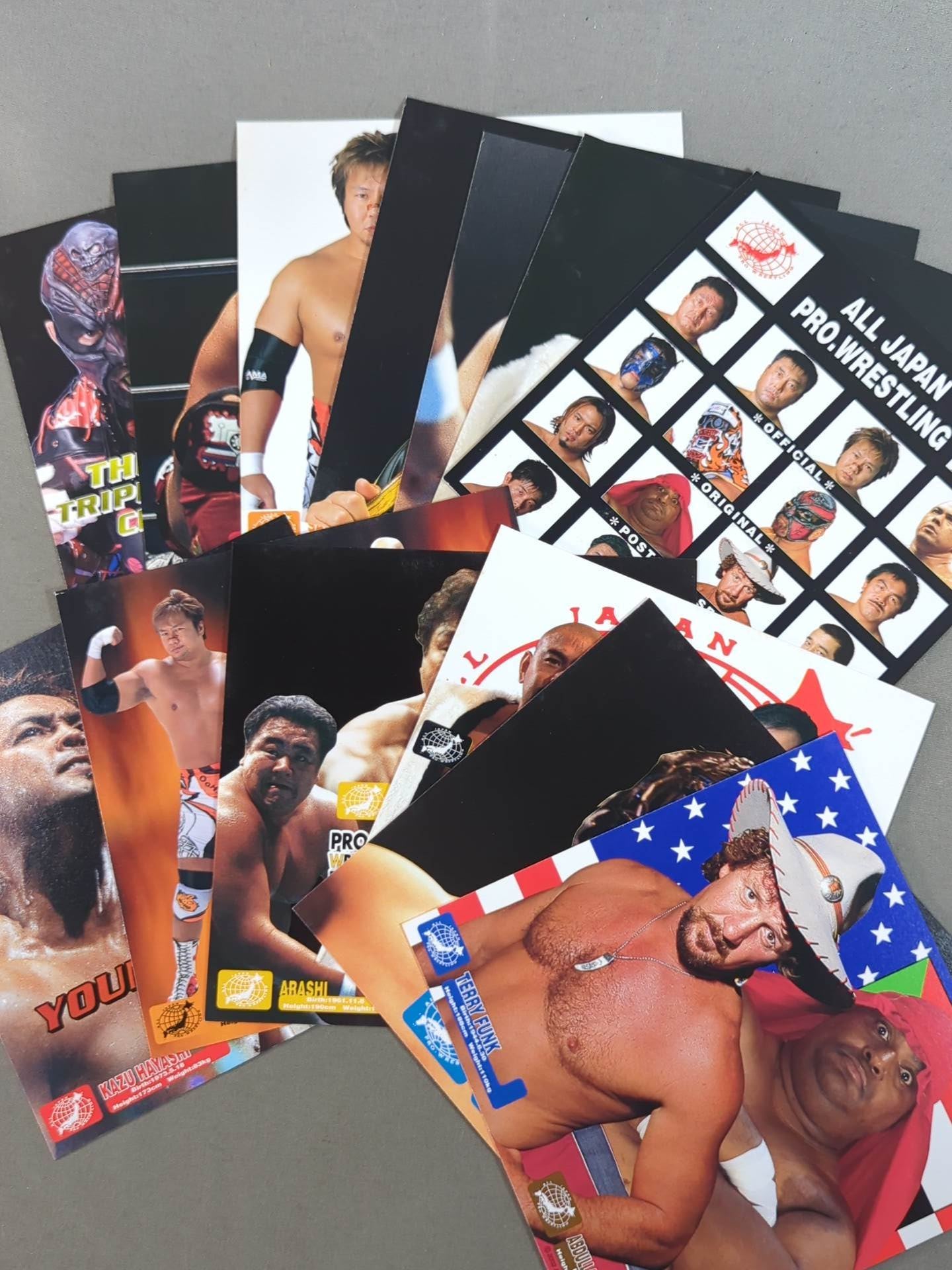 All Japan Pro Wrestling  Official Original Postcard Set