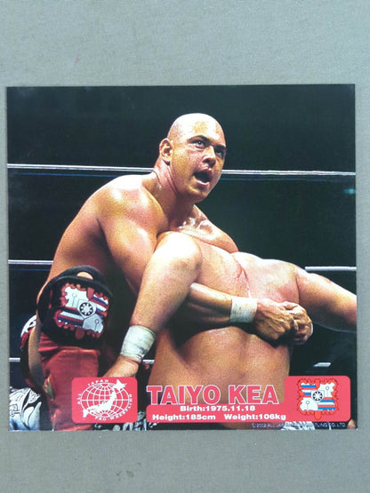 All Japan Pro Wrestling  Official Original Postcard Set