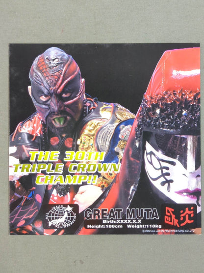 All Japan Pro Wrestling  Official Original Postcard Set