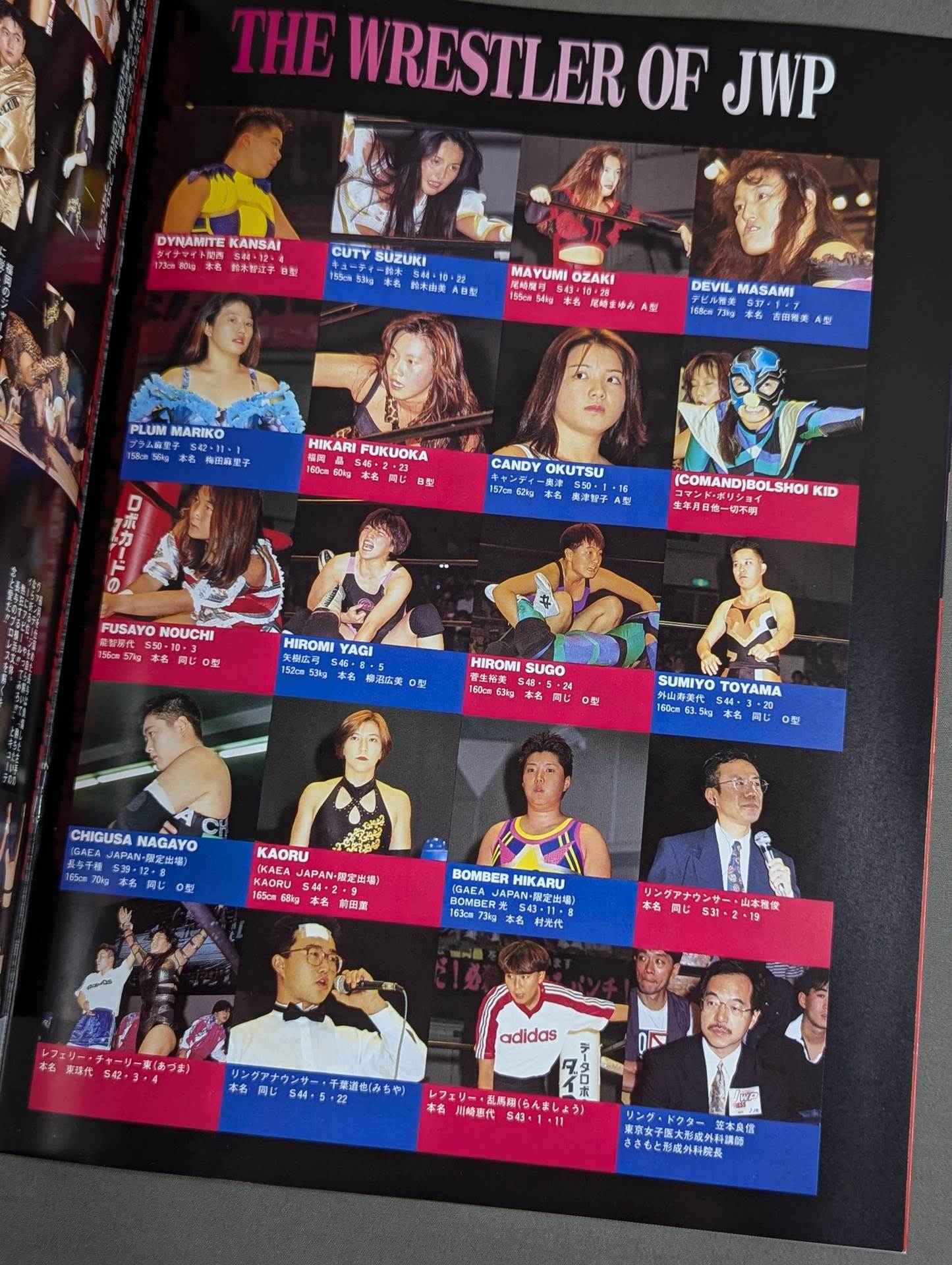 JWP OFFICIAL PAMPHLET Vol.12 / 極・激・蹴