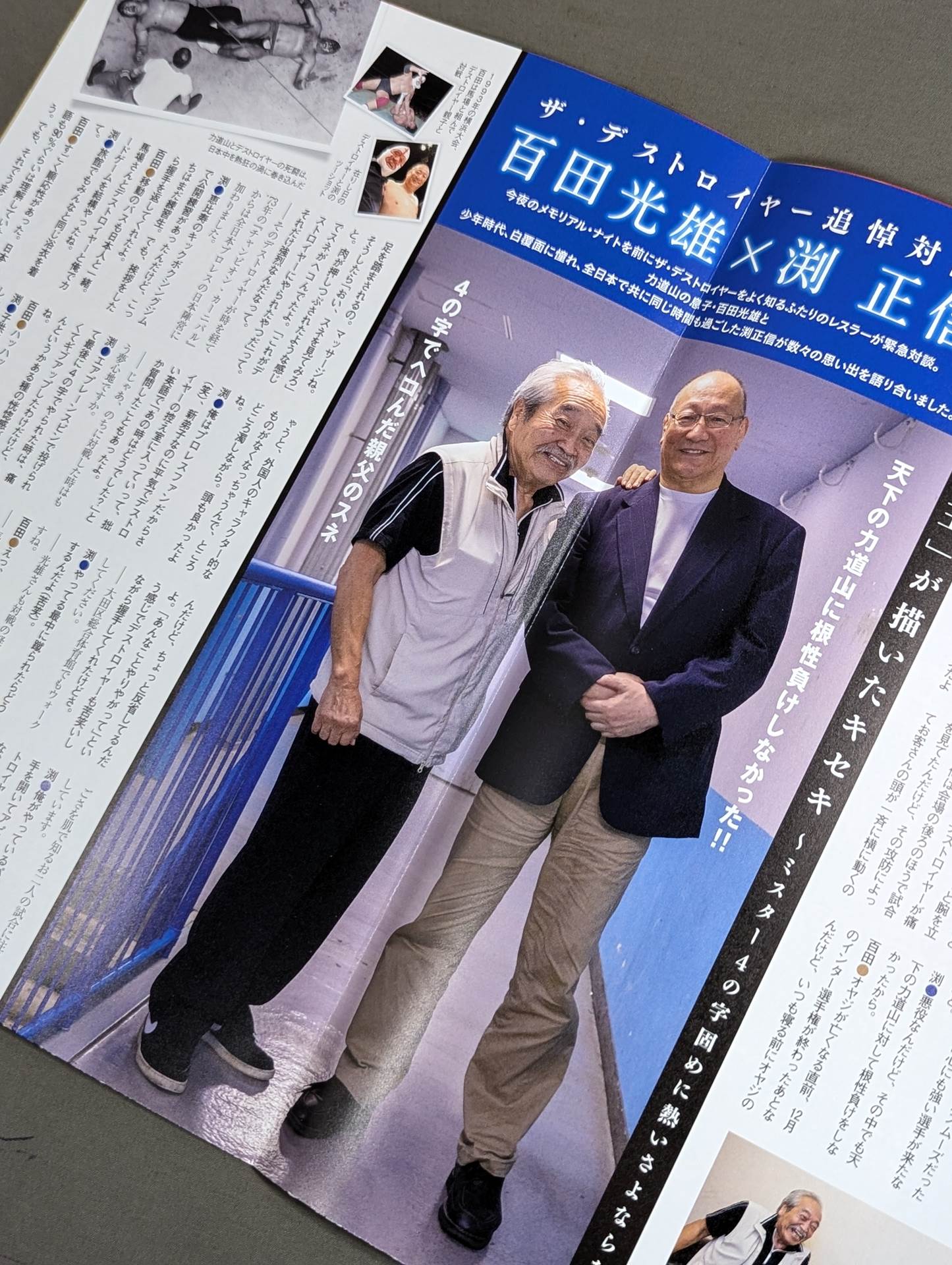 ザ・デストロイヤー メモリアル・ナイト ～白覆面の魔王よ永遠に～
