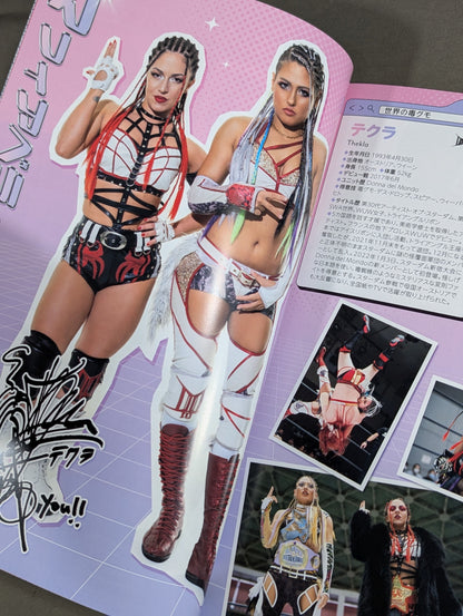 STARDOM OFFICIAL GUIDE BOOK Vol.149