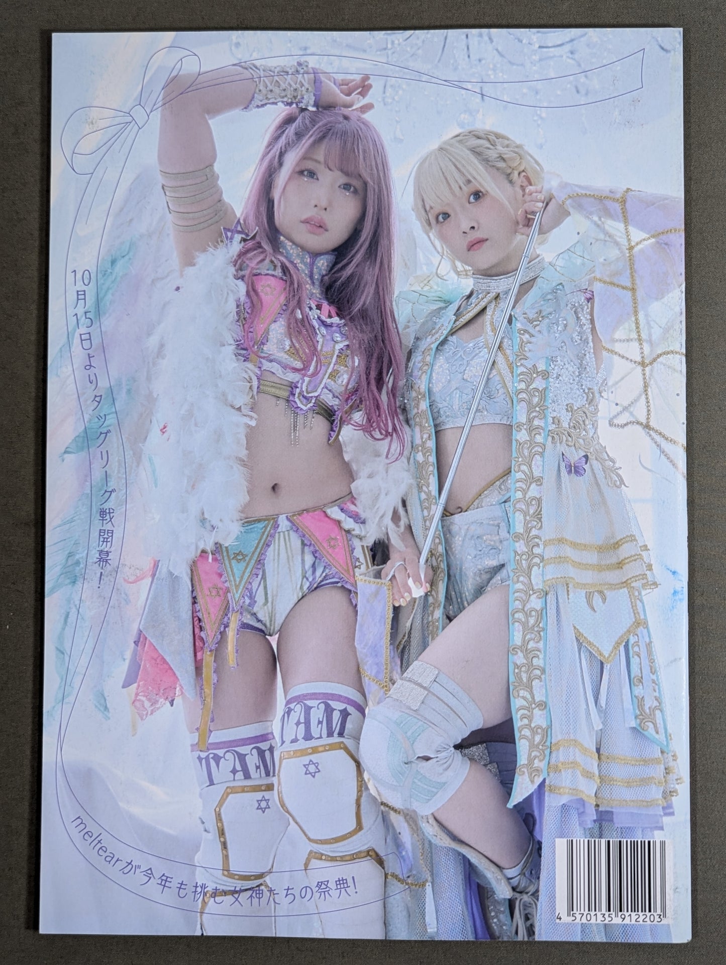 STARDOM OFFICIAL GUIDE BOOK 5★STAR GP 2023 Special
