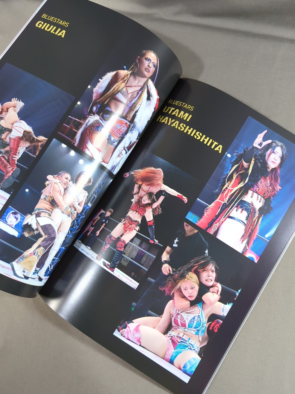 STARDOM OFFICIAL GUIDE BOOK 5★STAR GP 2023 Special