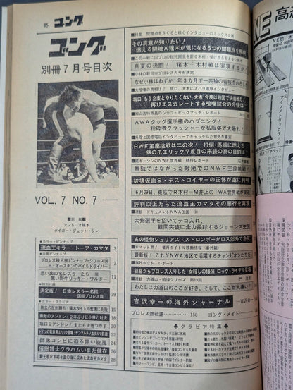 別冊ゴングVol.7 No.7