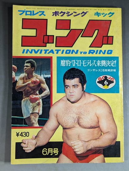 Monthly Gong Vol.7 No.6