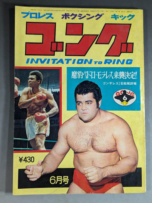 Monthly Gong Vol.7 No.6