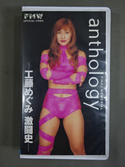アンソロジー 工藤めぐみ 激闘史