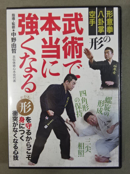 Become ★ really strong in martial arts Xingyiquan, Baguazhang, KARATE Flow energy ★ into the body with the power of the form