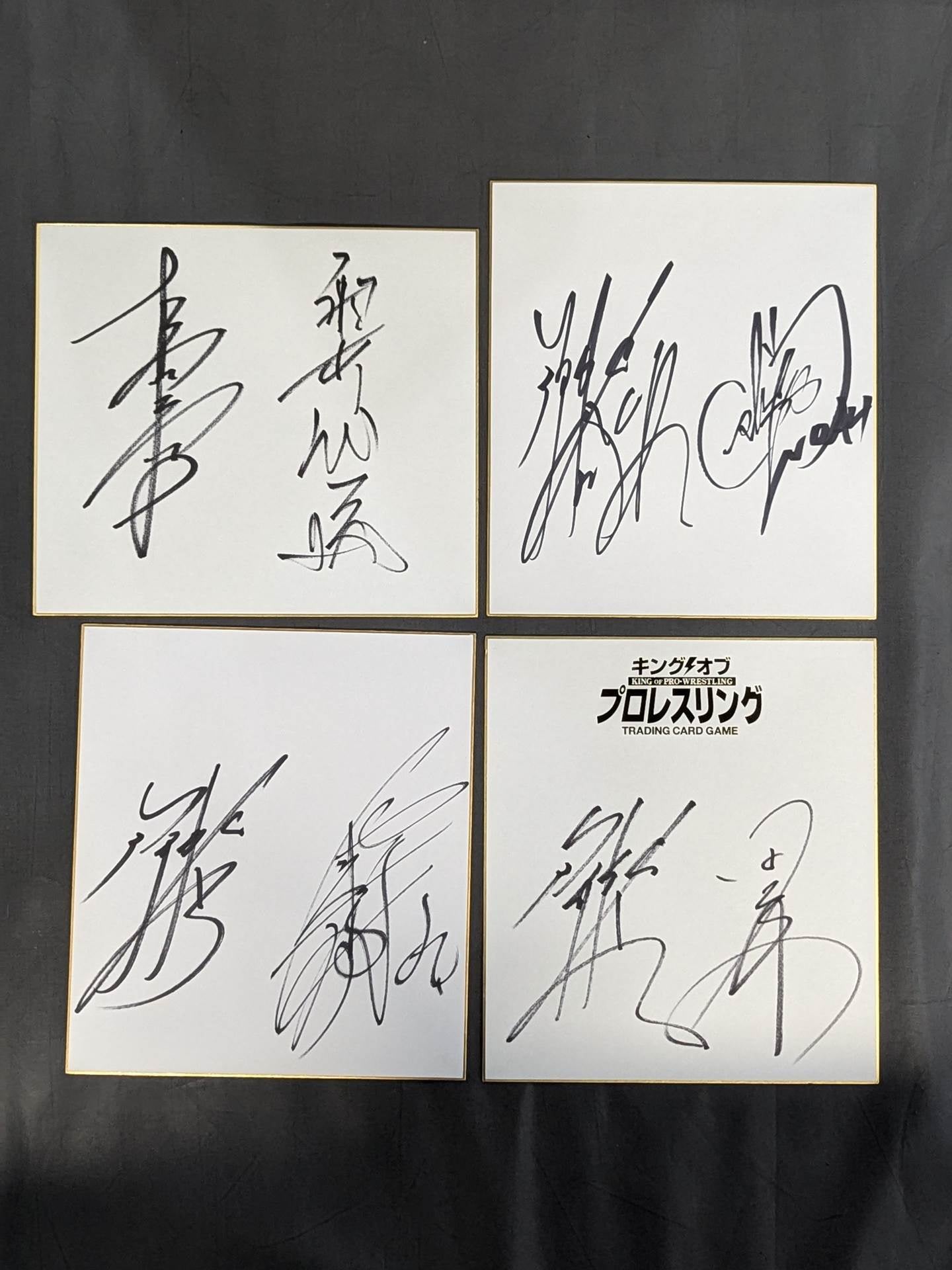 国内プロレスラー 寄せ書きサイン色紙セット