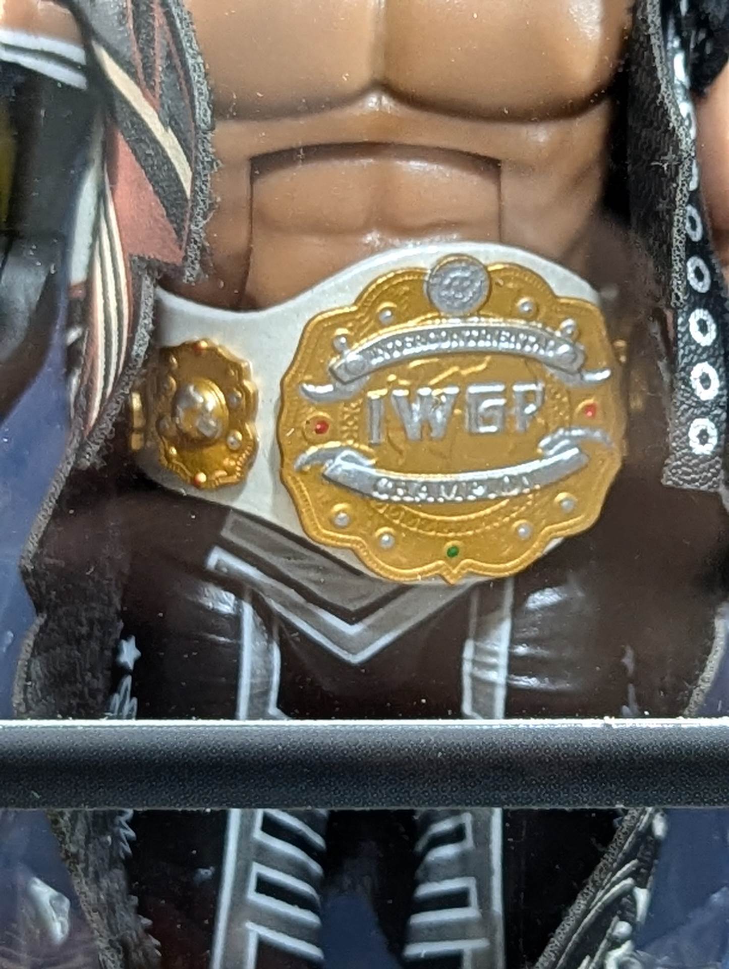 Hiroshi Tanahashi 