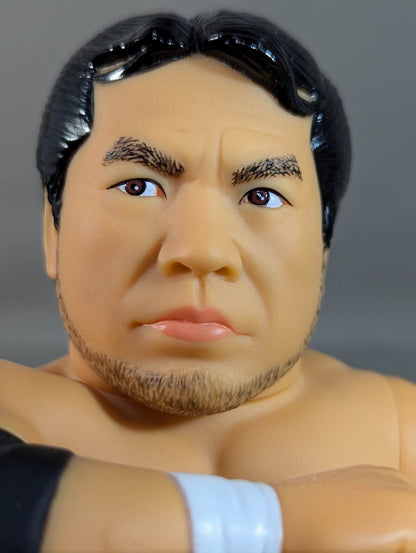 Mitsuharu Misawa  (Red Tights)
