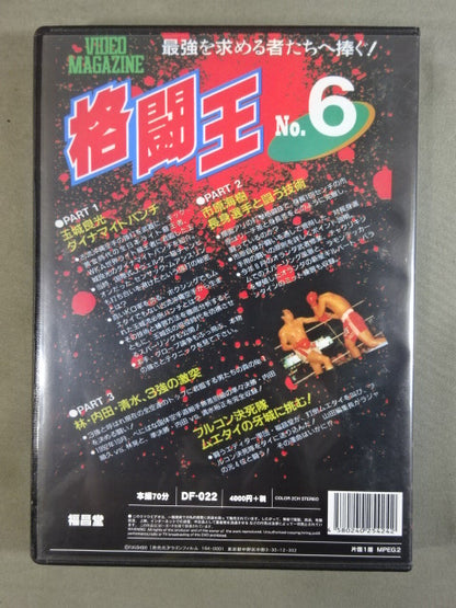 格闘王 No.6