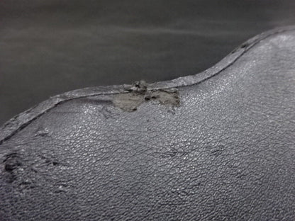 ★BIG GOLD World Heavyweight★ Title Belt