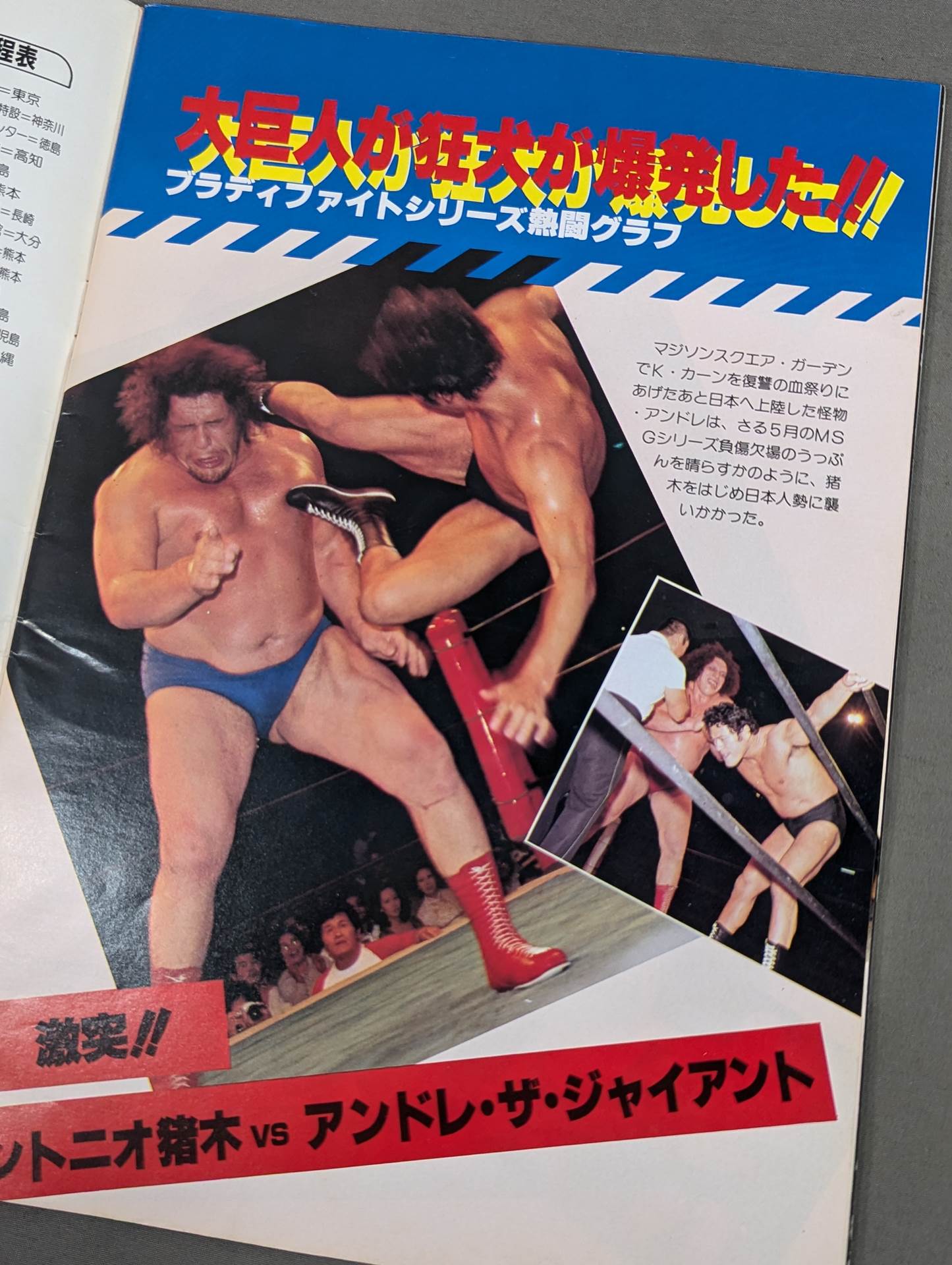 ★ Inoki vsR Kimura ★ THE WRESTLER Fighting Spirit Series Vol.4
