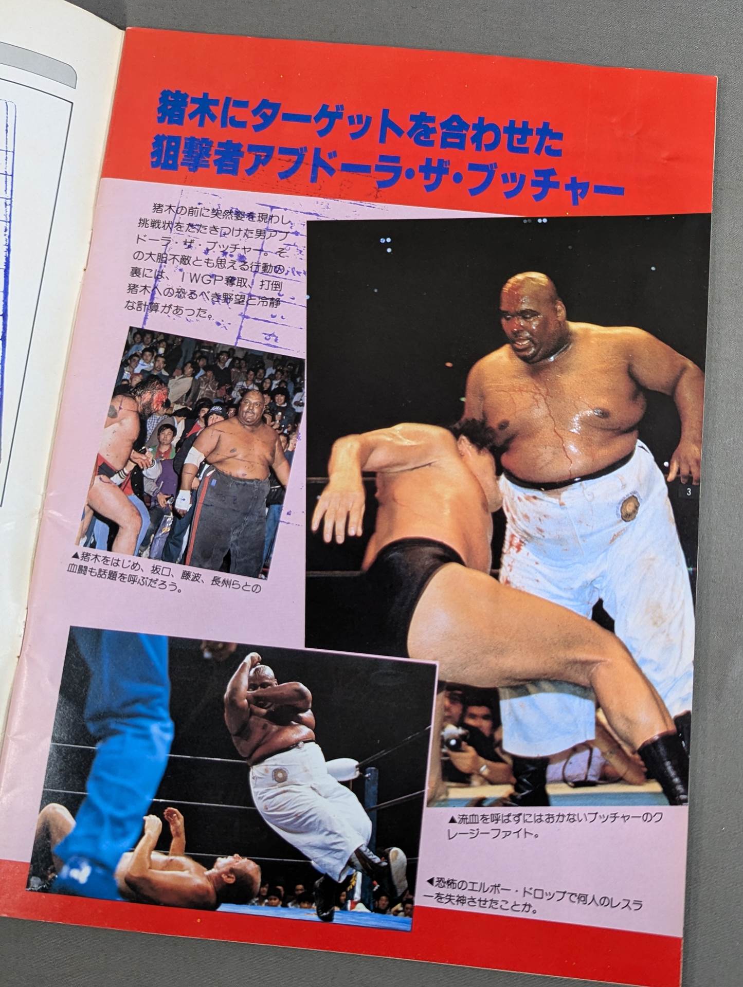 THE WRESTLER サマー・ファイト・シリーズ Vol.2