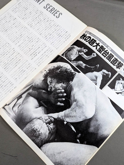 ★ Butcher vs. Terry UN Heavyweight 80 ★ Giant Series