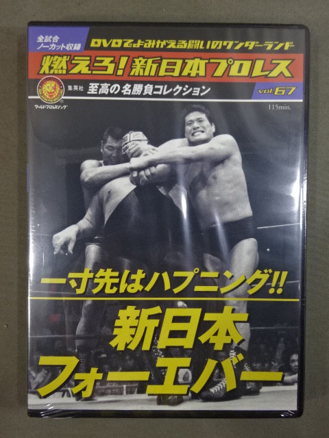 燃えろ!新日本プロレス vol.67