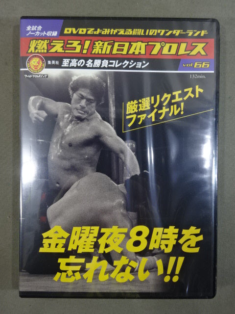 燃えろ!新日本プロレス vol.66