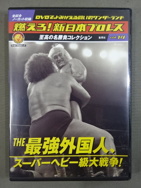 Burn! New Japan Pro Wrestling  vol.14