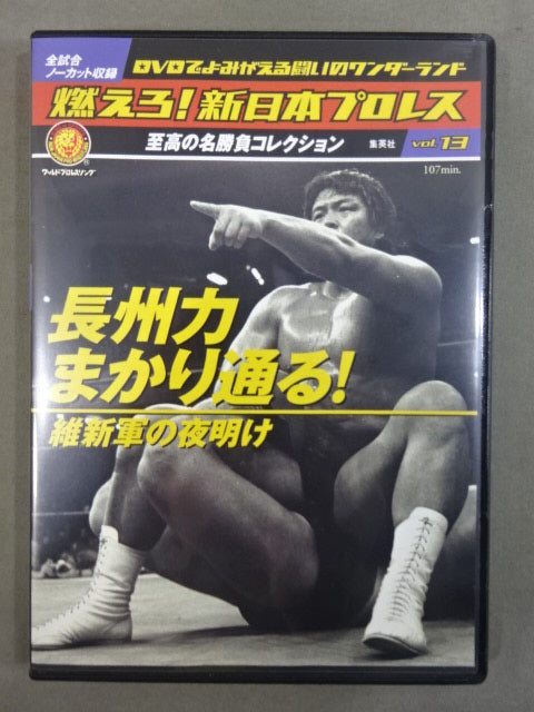 Burn! New Japan Pro Wrestling  vol.13