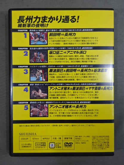 Burn! New Japan Pro Wrestling  vol.13