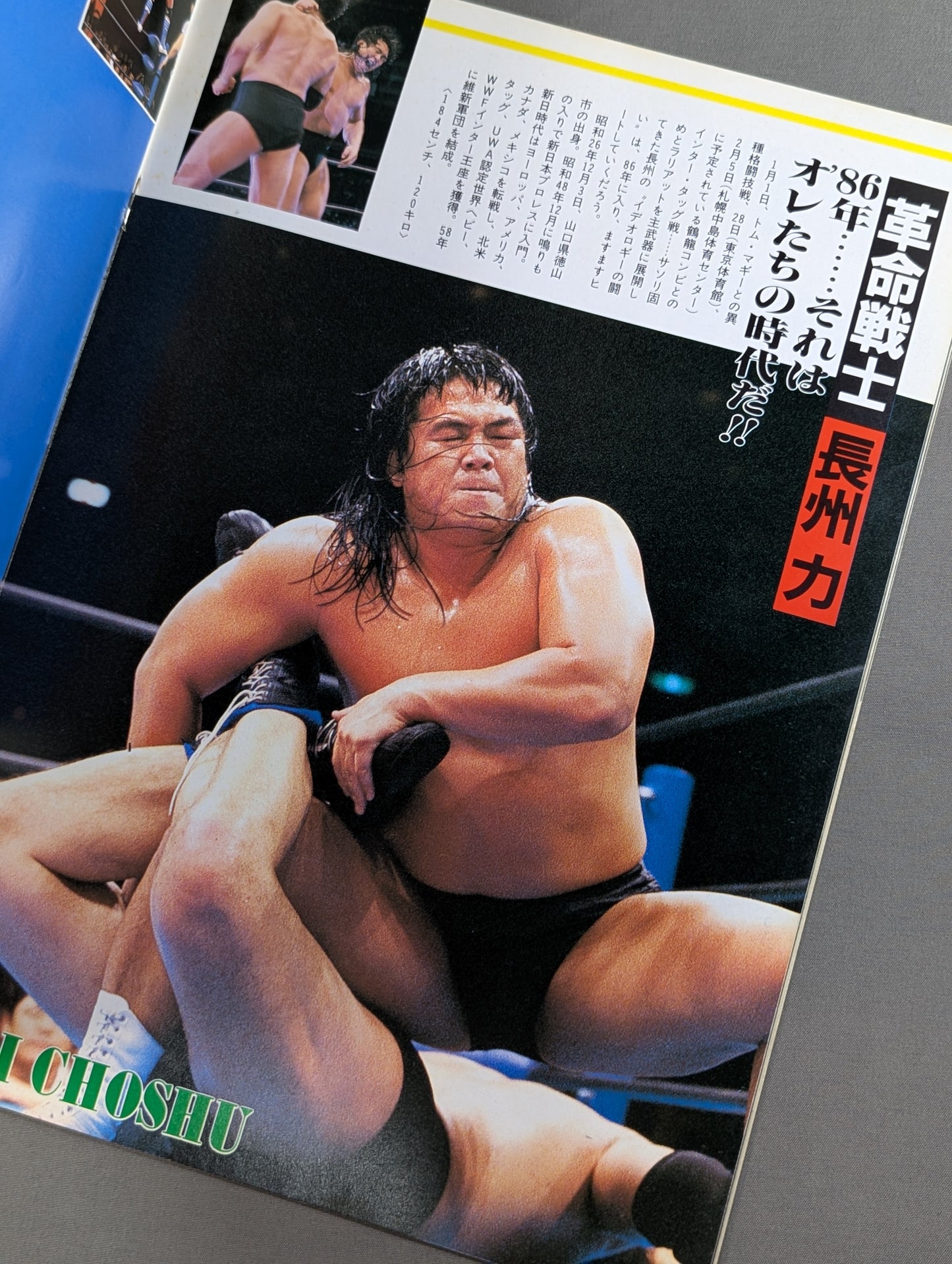 ★ Riki Choshu vs Tom McGee★ 86 New Year's Wars