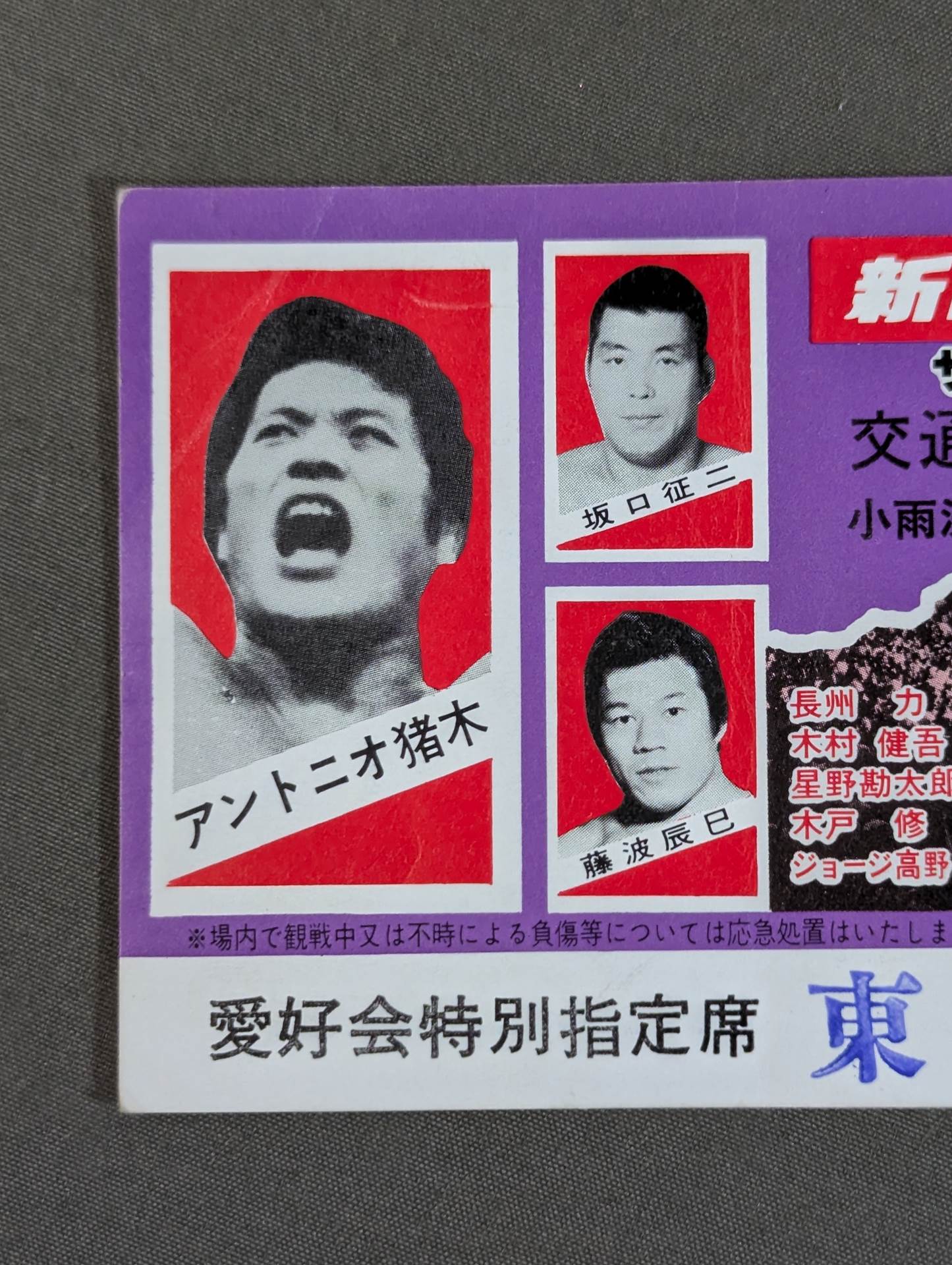 81サマーファイト・シリーズ