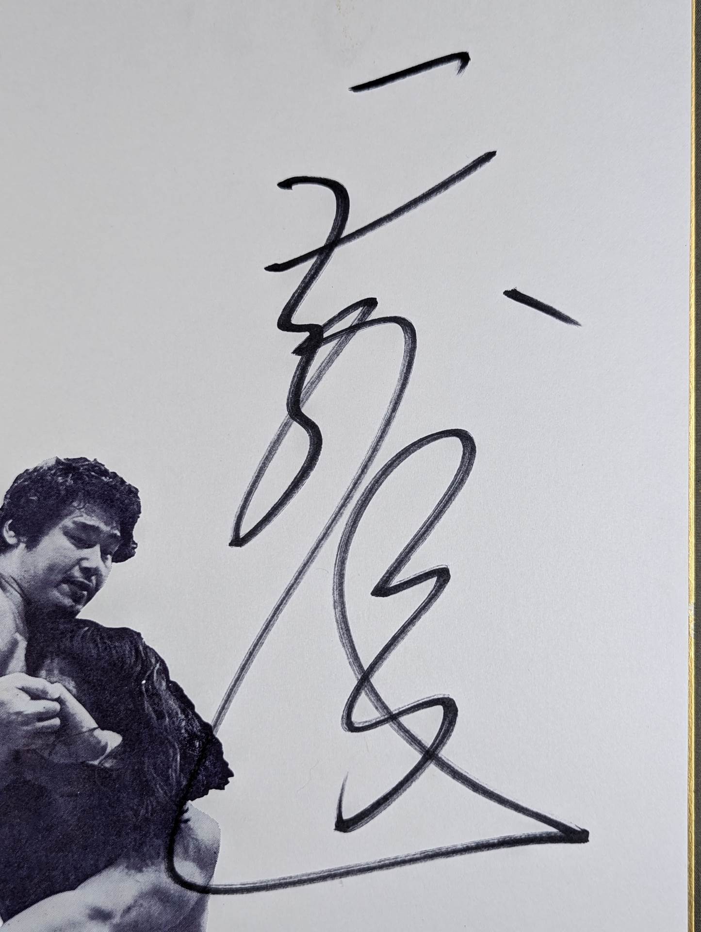 Tenryu Genichiro  (Dedicated Shikishi ( Autograph board ) )