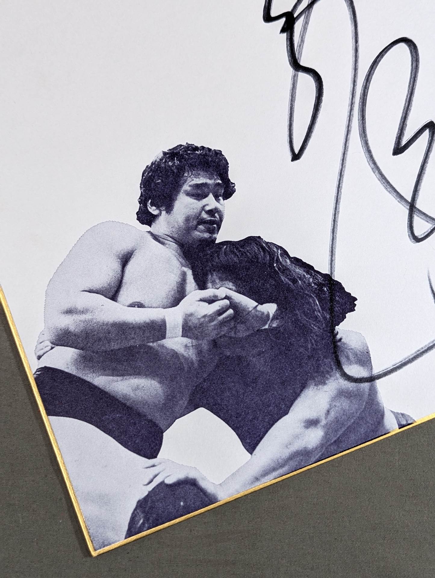 Tenryu Genichiro  (Dedicated Shikishi ( Autograph board ) )