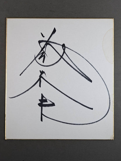 Tatsumi Fujinami 