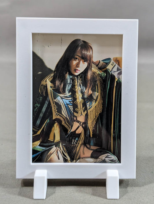Saya Kamitani  Pro-Photo  Frame Magnet