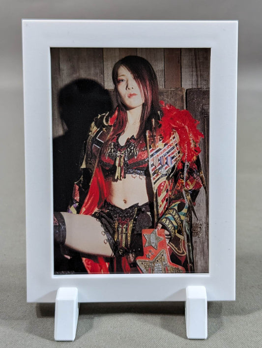Utami Hayashishita  Pro-Photo  Frame Magnet