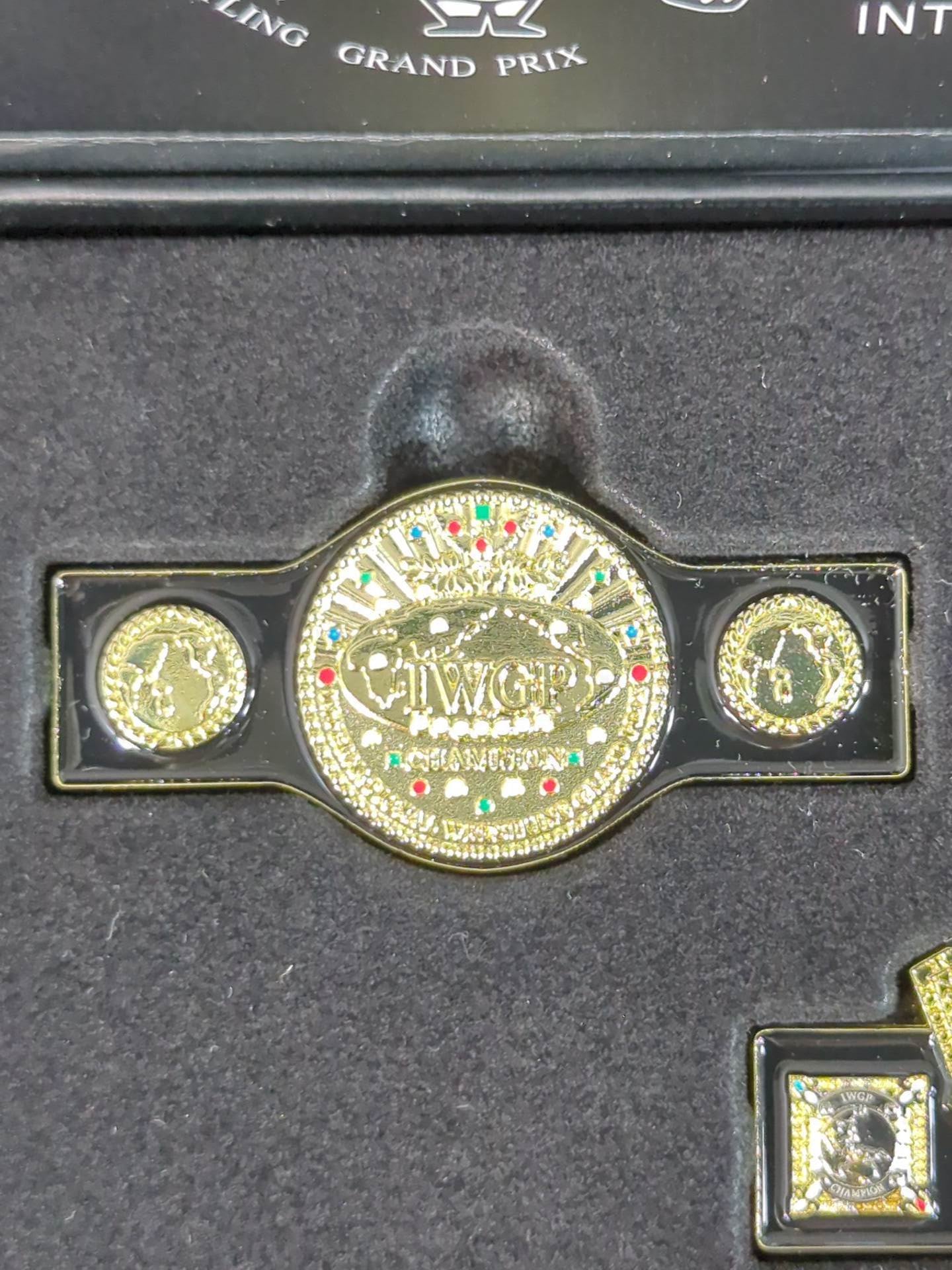 IWGP CHAMPION BELT ピンズコレクション(全5種)
