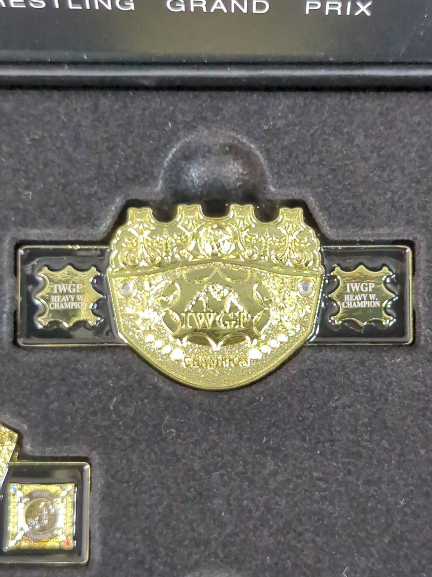 IWGP CHAMPION BELT ピンズコレクション(全5種)