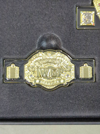 IWGP CHAMPION BELT ピンズコレクション(全5種)