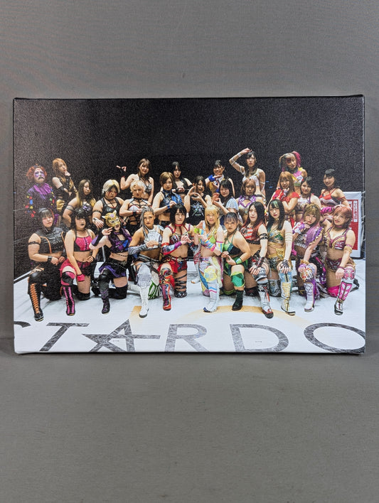 スターダム キャンバスプリント パネル